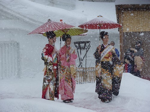 十日町きもの女王活動日記  » Blog Archive   » 雪まつりと和光市「白子宿きもの散歩」 (4223)